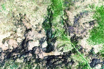 N 149D